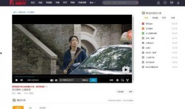 免费片在线观看网站,揭秘免费片在线观看网站的奥秘与风险