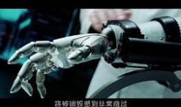 我机器人2在线观看,未来世界的机器人革命