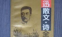 鲁迅爆料文章大全最新,揭秘文坛风云，探寻大师内心世界